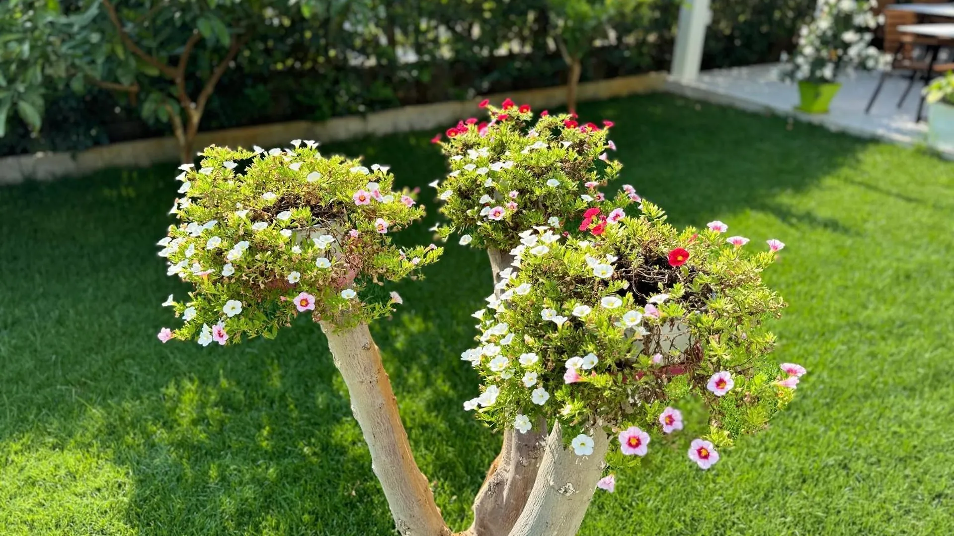 Bed & Breakfast Villa Ax Mirage Vlorë
